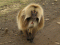 His-Cul Ethiopia Tour Operator & Travel Agency
