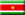 Hindistan'da Surinam Elçilik - Hindistan