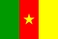 Ulusal Bayrak, Kamerun