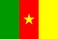 Ulusal Bayrak, Kamerun