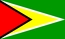 Ulusal Bayrak, Guyana