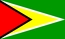 Ulusal Bayrak, Guyana