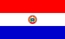 Ulusal Bayrak, Paraguay