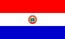 Ulusal Bayrak, Paraguay