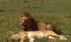 kenya cheap luxury tours